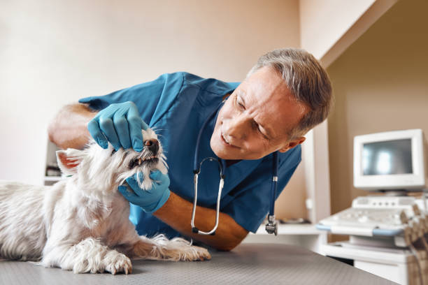 Best Emergency Dental Surgery in Horizon West, FL